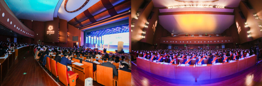 1608313960600453zm7Y.png 1608313960600453zm7Y.png